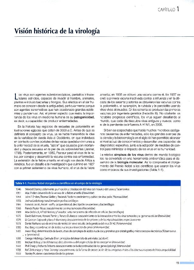 Los anticuerpos sobre la lamblia que este tal