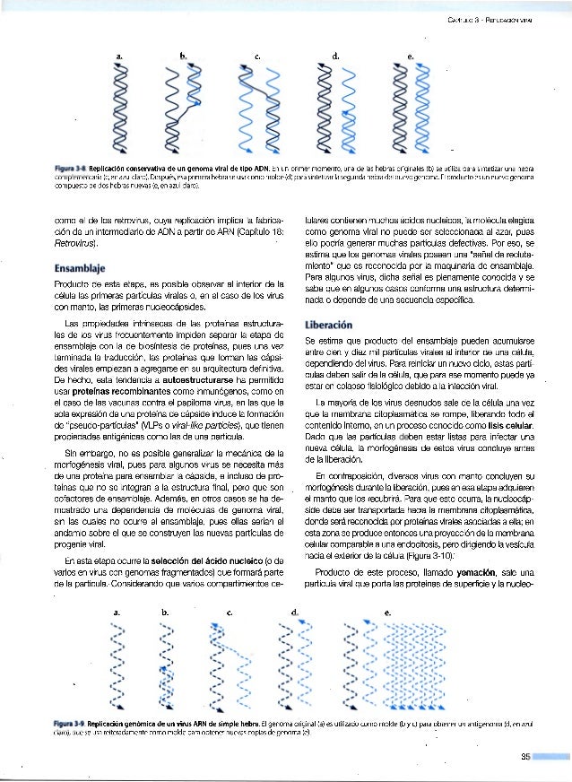 Virologia Clinica