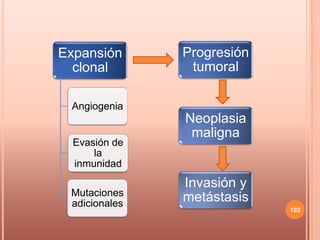 Expansión      Progresión
  clonal        tumoral

 Angiogenia
               Neoplasia
                maligna
  Evasión de
      la
  inmunidad
               Invasión y
 Mutaciones
 adicionales
               metástasis
                            102
 