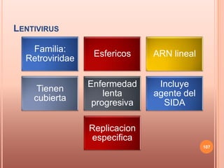 LENTIVIRUS

   Familia:
                  Esfericos    ARN lineal
  Retroviridae

                 Enfermedad     Incluye
     Tienen
                     lenta     agente del
    cubierta
                  progresiva     SIDA

                 Replicacion
                 especifica
                                            107
 