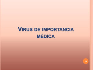 VIRUS DE IMPORTANCIA
      MÉDICA




                       14
 