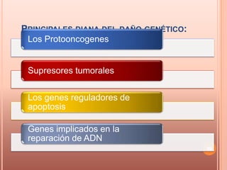 PRINCIPALES DIANA DEL DAÑO GENÉTICO:
 Los Protooncogenes


 Supresores tumorales


 Los genes reguladores de
 apoptosis

 Genes implicados en la
 reparación de ADN
                                       99
 