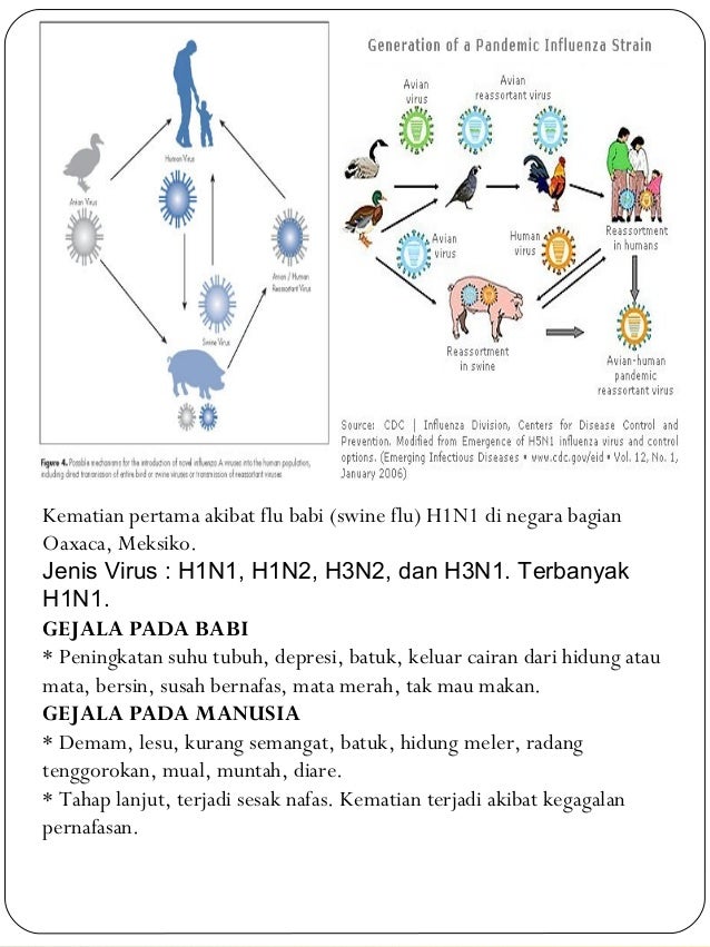 Virologi Bag 1