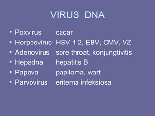 VIRUS DNA
• Poxvirus cacar
• Herpesvirus HSV-1,2, EBV, CMV, VZ
• Adenovirus sore throat, konjungtivitis
• Hepadna hepatitis B
• Papova papiloma, wart
• Parvovirus eritema infeksiosa
 