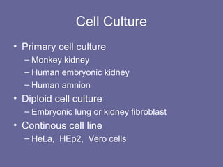 Cell Culture
• Primary cell culture
– Monkey kidney
– Human embryonic kidney
– Human amnion
• Diploid cell culture
– Embryonic lung or kidney fibroblast
• Continous cell line
– HeLa, HEp2, Vero cells
 