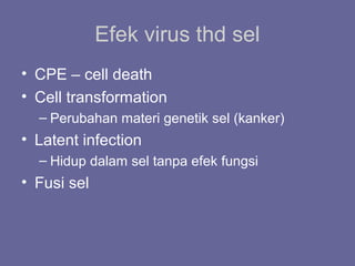 Efek virus thd sel
• CPE – cell death
• Cell transformation
– Perubahan materi genetik sel (kanker)
• Latent infection
– Hidup dalam sel tanpa efek fungsi
• Fusi sel
 