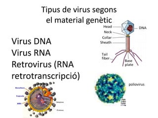 Tipus de virus segons
el material genètic
Virus DNA
Virus RNA
Retrovirus (RNA
retrotranscripció)
poliovirus
 