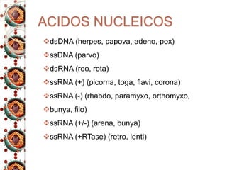 ACIDOS NUCLEICOS
dsDNA (herpes, papova, adeno, pox)
ssDNA (parvo)
dsRNA (reo, rota)
ssRNA (+) (picorna, toga, flavi, corona)
ssRNA (-) (rhabdo, paramyxo, orthomyxo,
bunya, filo)
ssRNA (+/-) (arena, bunya)
ssRNA (+RTase) (retro, lenti)
 