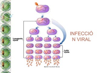 INFECCIÓ
N VIRAL
 