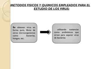 METODOS FISICOS Y QUIMICOS EMPLEADOS PARA EL ESTUDIO DE LOS VIRUS: Se  obtenen virus en forma pura, libres de otros microorganismos como bacterias, hongos, etc.  utilizando sustancias como antibióticos que sirven para separar virus de bacterias 