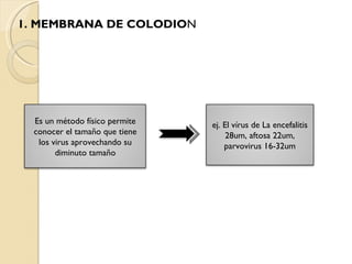 1. MEMBRANA DE COLODIO N Es un método físico permite conocer el tamaño que tiene los virus aprovechando su diminuto tamaño ej.  El vírus de La encefalitis 28um, aftosa 22um, parvovirus 16-32um 