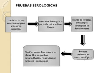 PRUEBAS SEROLOGICAS consisten en una reacción antígeno anticuerpo especifico,  cuando se investiga a la partícula vírica se llama Directa  cuando se investiga anticuerpos serológicos se llama Indirecta Pruebas realizadas en suero serológico: Fijación, Inmunofluorecencia en placas, Elisa en pocillos, Inmunodifución, Neutralización (antígeno - anticuerpo) 