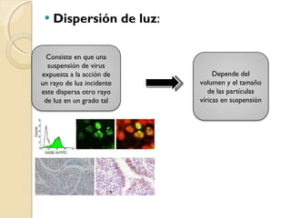 Dispersión de luz : Consiste en que una suspensión de virus expuesta a la acción de un rayo de luz incidente este dispersa otro rayo de luz en un grado tal Depende del volumen y el tamaño de las partículas víricas en suspensión 