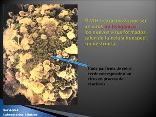 Cada partícula de color
verde corresponde a un
virus en proceso de
exocitosis.
Servi-Med
Laboratorios Clínicos
 
