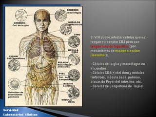 Servi-Med
Laboratorios Clínicos
 