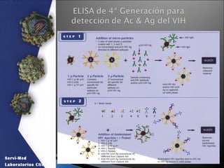 Servi-Med
Laboratorios Clínicos
 