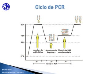 Servi-Med
Laboratorios Clínicos
 