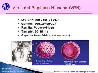 Virus del Papiloma Humano (VPH)
• Los VPH son virus de ADN
• Género: Papillomavirus
• Familia: Papovaviridae
• Tamaño: 50-55 nm
• Capside icosaédrica, (72 capsómeros)
Servi-Med
Laboratorios Clínicos Cortesía: Dra Sandra Guadalupe Sánchez
 