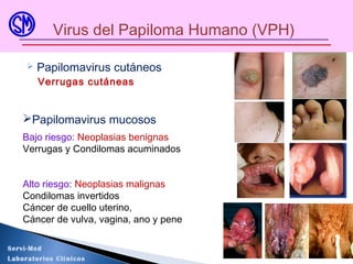  Papilomavirus cutáneos
Verrugas cutáneas
Virus del Papiloma Humano (VPH)
Papilomavirus mucosos
Bajo riesgo: Neoplasias benignas
Verrugas y Condilomas acuminados
Alto riesgo: Neoplasias malignas
Condilomas invertidos
Cáncer de cuello uterino,
Cáncer de vulva, vagina, ano y pene
Servi-Med
Laboratorios Clínicos
 