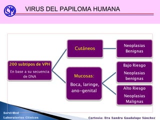 VIRUS DEL PAPILOMA HUMANA
Servi-Med
Laboratorios Clínicos Cortesía: Dra Sandra Guadalupe Sánchez
 