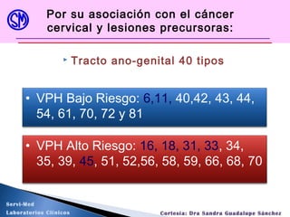  Tracto ano-genital 40 tipos
Por su asociación con el cáncer
cervical y lesiones precursoras:
• VPH Bajo Riesgo: 6,11, 40,42, 43, 44,
54, 61, 70, 72 y 81
• VPH Alto Riesgo: 16, 18, 31, 33, 34,
35, 39, 45, 51, 52,56, 58, 59, 66, 68, 70
Servi-Med
Laboratorios Clínicos Cortesía: Dra Sandra Guadalupe Sánchez
 