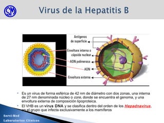  Es un virus de forma esférica de 42 nm de diámetro con dos zonas, una interna
de 27 nm denominada núcleo o core, donde se encuentra el genoma, y una
envoltura externa de composición lipoproteica.
 El VHB es un virus DNA y se clasifica dentro del orden de los Hepadnavirus,
en el grupo que infecta exclusivamente a los mamíferos
Servi-Med
Laboratorios Clínicos
 