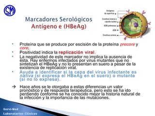  Proteína que se produce por escisión de la proteína precore y
core,
 Positividad indica la replicación viral.
 La negatividad de este marcador no implica la ausencia de
ésta. Hay enfermos infectados por virus mutantes que no
sintetizan el HBeAg y no lo presentan en suero a pesar de la
existencia de replicación viral.
 Ayuda a identificar si la cepa del virus infectante es
nativa (si expresa el HBeAg en el suero) o mutante
(si no lo expresa).
 Hace años se le otorgaba a estas diferencias un valor
pronóstico y de respuesta terapéutica, pero esto se ha ido
perdiendo conforme se ha conocido mejor la historia natural de
la infección y la importancia de las mutaciones.
Servi-Med
Laboratorios Clínicos
 