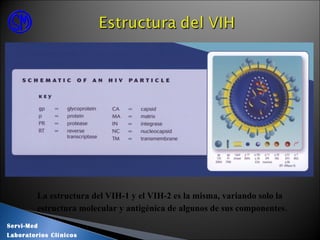 La estructura del VIH-1 y el VIH-2 es la misma, variando solo la
estructura molecular y antigénica de algunos de sus componentes.
Servi-Med
Laboratorios Clínicos
 