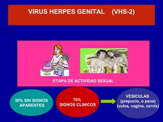 ETAPA DE ACTIVIDAD SEXUAL
VIRUS HERPES GENITAL (VHS-2)
•
30% SIN SIGNOS
APARENTES
70%
SIGNOS CLINICOS
VESICULAS
(prepucio, o pene)
(vulva, vagina, cervix)
 