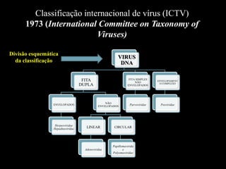 Classificação internacional de vírus (ICTV)
1973 (International Committee on Taxonomy of
Viruses)
VIRUS
DNA
FITA
DUPLA
ENVELOPADOS
Herpesviridae
Hepadnaviridae
NÃO
ENVELOPADOS
LINEAR
Adenoviridae
CIRCULAR
Papillomavirida
e
Polyomaviridae
FITA SIMPLES
NÃO
ENVELOPADOS
Parvoviridae
ENVELOPAMENT
O COMPLEXO
Poxviridae
Divisão esquemática
da classificação
 