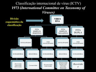 Classificação internacional de vírus (ICTV)
1973 (International Committee on Taxonomy of
Viruses)
VIRUS
RNA
FITA
SIMPLES
POSITIVO
ENVELOPADOS
ICOSAHEDRAL
Flaviviridae
Togaviridae
Retroviridae
HELICOIDAL
Coronaviridae
NÃO
ENVELOPADOS
ICOSAHEDRAL
Picornaviridae
Caliciviridae
FITA
SIMPLES
NEGATIVO
ENVELOPADOS
HELICOIDAL
Orthomyxoviridae
Paramyxoviridae
Rhabdoviridae
Filoviridae
Bunyaviridae
Arenaviridae
FITA
DUPLA
NÃO
ENVELOPADOS
ICOSAHEDRAL
Reovirida
e
Divisão
esquemática da
classificação
 