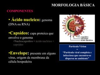 MORFOLOGIA BÁSICA
COMPONENTES
• Ácido nucleico: genoma
(DNA ou RNA)
•Capsídeo: capa proteica que
envolve o genoma
•Nucleocapsídeo = ácido nucleico +
capsídeo
•Envelope: presente em alguns
vírus, origem da membrana da
célula hospedeira
Partícula Vírion
=
“Partícula viral completa e
infecciosa que encontra-se
dispersa no ambiente”
 