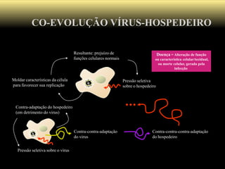 CO-EVOLUÇÃO VÍRUS-HOSPEDEIRO
Moldar características da célula
para favorecer sua replicação
Resultante: prejuízo de
funções celulares normais
Pressão seletiva
sobre o hospedeiro
Doença = Alteração de função
ou característica celular/tecidual,
ou morte celular, gerada pela
infecção
Contra-adaptação do hospedeiro
(em detrimento do virus)
Pressão seletiva sobre o vírus
Contra-contra-adaptação
do virus
Contra-contra-contra-adaptação
do hospedeiro
 