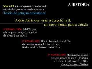 A HISTÓRIA
2º PASSO: 1892, Dimitri Ivanovski: estudo da
doença do mosaico do tabaco (etapa
fundamental na descoberta dos vírus)
Século 19: microscópio ótico confirmando
a teoria dos germes tornando obsoleta a
Teoria de geração espontânea
A descoberta dos vírus: a descoberta de
um novo mundo para a ciência
3º PASSO: 1899, Martinus Beijerinck:
diluição seriada da seiva – princípio
infeccioso VIVO mas FLUIDO –
Contagium vivum fluidum
1º PASSO: 1876, Adolf Meyer,
afirma que a doença do mosaico
do tabaco é contagiosa
 