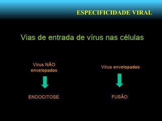 ESPECIFICIDADE VIRAL
 
