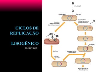 CICLOS DE
REPLICAÇÃO
LISOGÊNICO
(Retrovírus)
 