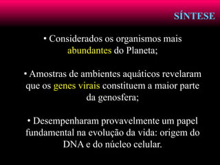 SÍNTESE
• Considerados os organismos mais
abundantes do Planeta;
• Amostras de ambientes aquáticos revelaram
que os genes virais constituem a maior parte
da genosfera;
• Desempenharam provavelmente um papel
fundamental na evolução da vida: origem do
DNA e do núcleo celular.
 