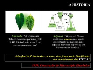 A HISTÓRIA
Ivanovski : “A Doença do
Tabaco é causada por um agente
NÃO filtrável, não sei se é um
esporo ou uma toxina”
Beijerinck: “ O material filtrado
contém um veneno ou um agente
desconhecido tão pequeno que é
capaz de atravessar os poros de um
filtro que retém bactérias.”
Até o final da Primeira Guerra, novos vírus foram sendo identificados
... sem contudo terem sido VISTOS !
1939: Construção do Microscópio Eletrônico
 