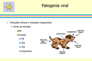 Patogenia viral
 Infecções clínicas x infecções inaparentes
 Porta de entrada
pele
mucosas
TR
TGI
TGI
conjuntiva
 