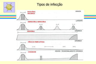 Tipos de infecção
 