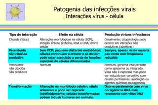 Patogenia das infecções virais
Interações vírus - célula
Tipo de interação Efeito na célula Produção virions infecciosos
Citocida (lítica) Alterações morfológicas na célula (ECP);
inibição síntese proteína, RNA e DNA; morte
celular
Geralmente; citopatologia pode
ocorrer em infecções não
produtivas (abortivas)
Persistente
não citocida
produtiva
Sem ECP; pequeno distúrbio metabólico;
células continuam a crescer e se dividir;
pode estar associado a perda de funções
especiais de células diferenciadas
Sempre, apesar de na maioria
das vezes com freqüência
reduzida
Persistente
não citocida
não produtiva
Nenhum Nenhum, genoma viral persiste
como epissoma ou integrado.
Vírus não é expresso mas pode
ser induzido por co-cultivo com
células permissivas, irradiação ou
agentes químicos mutagenicos
Transformação Alteração na morfologia celular; célula
sobrevive e pode ser repicada
indefinidamente; células transformadas
podem induzir tumores em animais.
Ocorre geralmente com vírus
oncogênicos RNA mas
raramente com vírus DNA
 