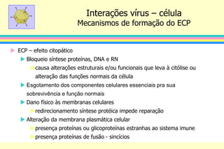  ECP – efeito citopático
 Bloqueio síntese proteínas, DNA e RN
causa alterações estruturais e/ou funcionais que leva à citólise ou
alteração das funções normais da célula
 Esgotamento dos componentes celulares essenciais pra sua
sobrevivência e função normais
 Dano físico às membranas celulares
redirecionamento síntese protéica impede reparação
 Alteração da membrana plasmática celular
presença proteínas ou glicoproteínas estranhas ao sistema imune
presença proteínas de fusão - sincícios
Interações vírus – célula
Mecanismos de formação do ECP
 