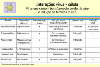 Interações vírus - célula
Vírus que causam transformação celular in vitro
e indução de tumores in vivo
Família Subfamília/
Gênero*
Transformação
in vitro
Indução tumor
hospedeiro natural
Genoma viral Produção
vírus
Papillomaviridae Papillomavirus + Papilomas (raramente
carcinoma
Epissoma + papiloma
- carcinoma
Polyomaviridae Polyomavirus + Carcinomas em
roedores neonatos
Integrado -
Adenoviridae Mastadenovirus
Aviandenovirus
+ Carcinomas em
roedores neonatos
Integrado -
Herpesviridae  herpesvirinae + Linfomas e carcinomas Epissoma -
Hepdnaviridae Hepdnavirus - Carcinomas Integrado -
Retroviridae Oncovirinae + Leucemia, sarcoma Integrado +
* Somente alguns membros na maioria dos grupos
 