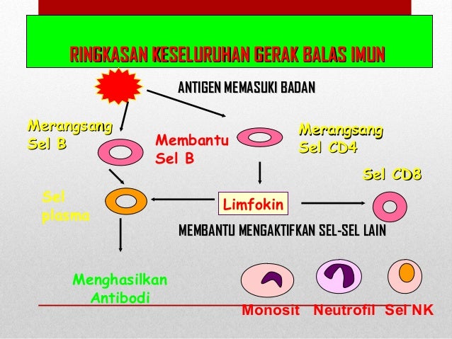 VIROLOGI AIDS - VIRUS HIV