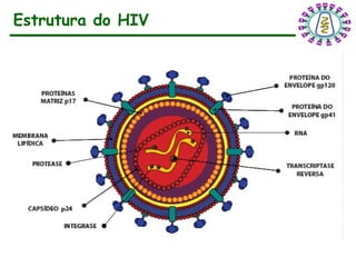 Estrutura do HIV
 