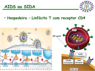 • Hospedeira – Linfócito T com receptor CD4
AIDS ou SIDA
 