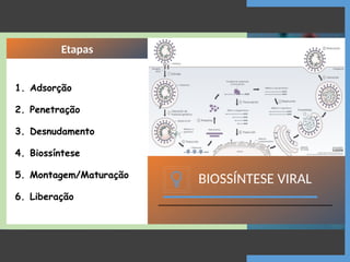 BIOSSÍNTESE VIRAL
1. Adsorção
2. Penetração
3. Desnudamento
4. Biossíntese
5. Montagem/Maturação
6. Liberação
Etapas
 