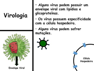 • Alguns vírus podem possuir um
envelope viral com lipídios e
glicoproteínas.
• Os vírus possuem especificidade
com a célula hospedeira.
• Alguns vírus podem sofrer
mutações.
Envelope Viral
Célula
Hospedeira
Virologia
 