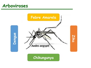 Arboviroses
Febre Amarela
Dengue
Aedes aegypti
Zika
Chikungunya
 