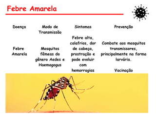 Febre Amarela
Doença Modo de
Transmissão
Sintomas Prevenção
Febre
Amarela
Mosquitos
fêmeas do
gênero Aedes e
Haemagogus
Febre alta,
calafrios, dor
de cabeça,
prostração e
pode evoluir
com
hemorragias
Combate aos mosquitos
transmissores,
principalmente na forma
larvária.
Vacinação
 